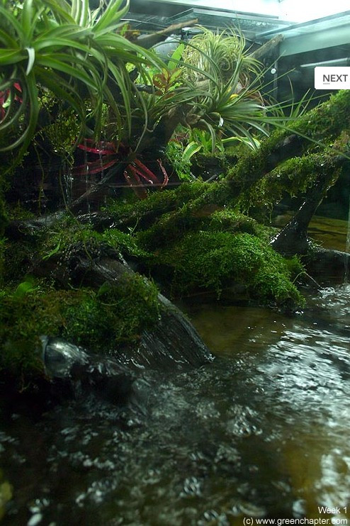 造景之路：水陆雨林-29