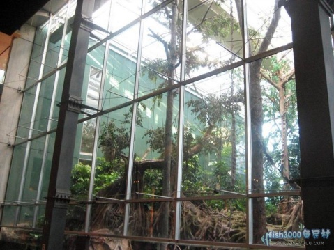 热带雨林植物园