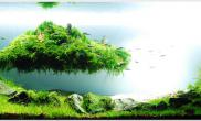 Aquascape of the Month August: 