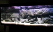 沉木青龙石原生态鱼缸13